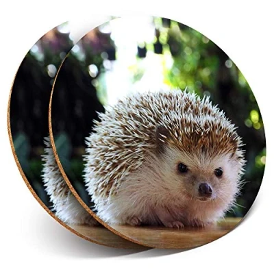 Image of 2 x Round Coasters Cute Hedgehog Garden Animal Cork Backed Home Kitchen Accessory Tea Coffee Mug Mat #44780