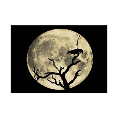 Image of Wee Blue Coo Painting Crow Silhouette Moon Black Grey Wall Art Print