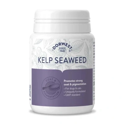 Image of Dorwest Herbs Kelp Seaweed Tablets for Dogs and Cats 100