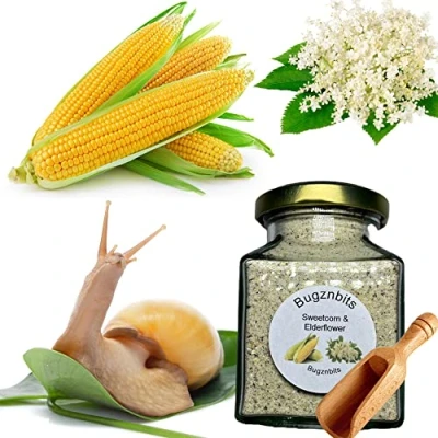 Image of Bugznbits Giant African Land Snail Food, 100% Organic Blend with Sweetcorn &amp; Elderflower, Also Great for Millipedes Hermit Crabs (210ml Refillable Jar)
