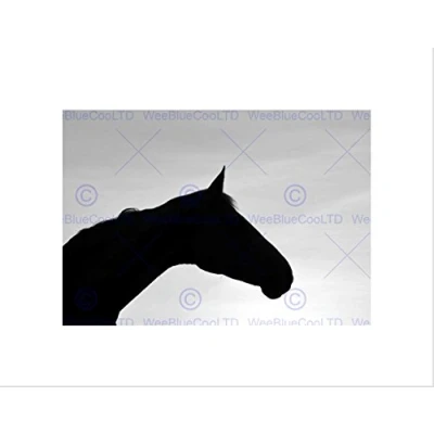 Image of Wee Blue Coo Painting Illustration Horse Head Silhouette Wall Art Print