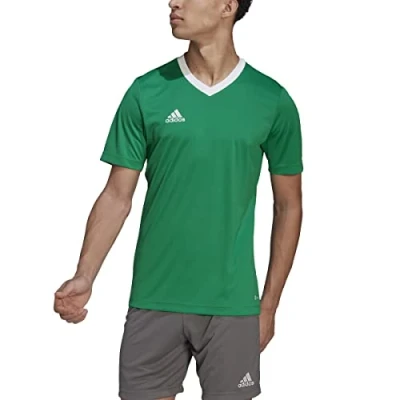 Image of adidas Men&#039;s Entrada 22 Jersey, Team Green/White, 3XL