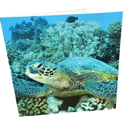Image of Maturi Sea Turtle Photographic Blank Birthday Greetings Card, 15.5 x cm