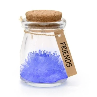 Image of Friends, Blue LED Magic Grow Your Own Crystal Garden Wish Flower Jar Growing Kit