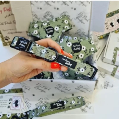 Image of GREEN MEADOW DAISY DOG COLLAR S