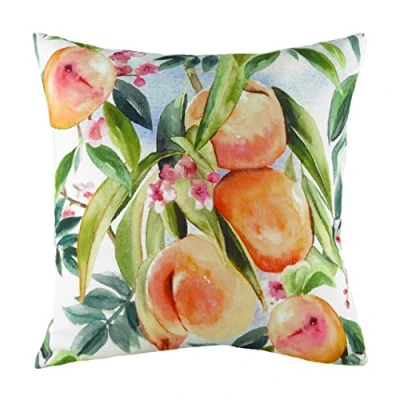 Image of Evans Lichfield Fruit Peaches Cushion Multicolour One Size