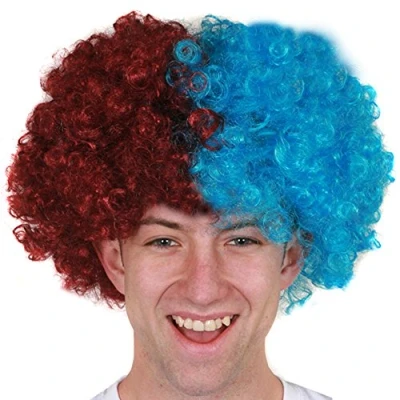 Image of I Love Fancy Dress ILFD2258 Supporters Unisex Afro Wig (One Size)