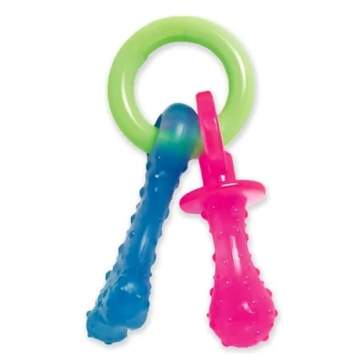Image of Nylabone Puppy Dog Teething Chew Toy Pacifier, Bacon Flavour, Extra Small, for Puppies Up to 7 kg, Blue/Pink