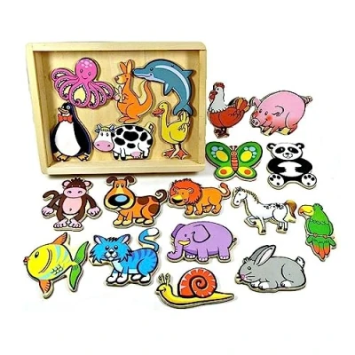 Image of Viga 2043603 TOY Toys 58923 Magnetic Animals 20pcs