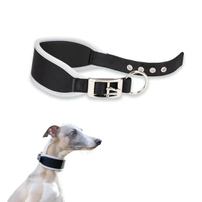 Image of Ferplast Dog Collar ERGOCOMFORT, Greyhound Collar, Soft padding, Blue