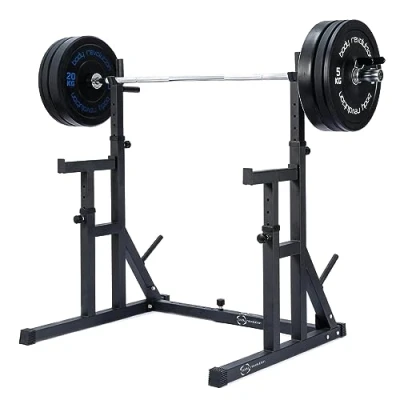 Image of Body Revolution Heavy Duty Adjustable Squat Rack With Weight Plate Storage, Dip Bars and Spotter Stands Fitness Training Equipment for Men Women