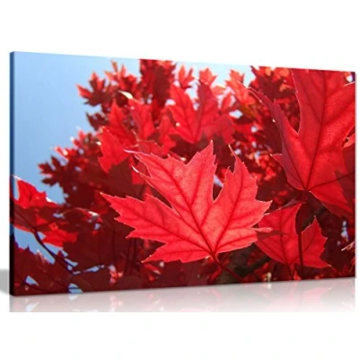 Image of Red Autumn Leaves Canvas Wall Art Picture Print (30x20in)