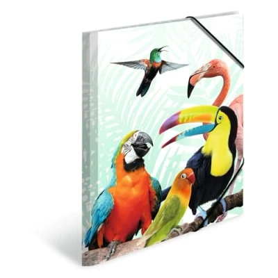 Image of HERMA Portfolio Folder A3 Parrot, Children&#039;s Corner Made of Plastic with Animal Motif, Elastic Band, Inner Flaps and Print for Boys Girls