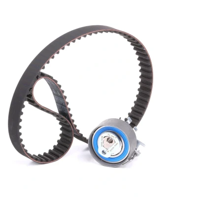 Image of 7701473001, 7701476745, 8200035827, 8200103069, 8200454895 Timing belt kit SKF VKMA 06002 95 with rounded tooth profile RENAULT: CLIO 2