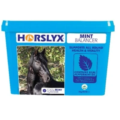 Image of Horslyx Mint Balancer Horse Supplement Lick, 5 kg