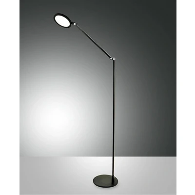 Image of Regina LED Integrated Floor Lamp Black Glass