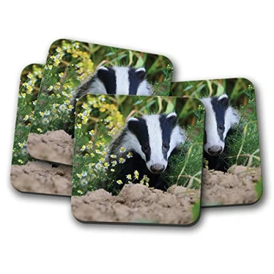 Image of 4 Set European Forest Badger Coaster Animals Fun Cute Adorable #15713