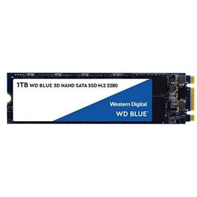 Image of WD Blue 2TB M.2 SATA SSD with up to 560MB/s read speed