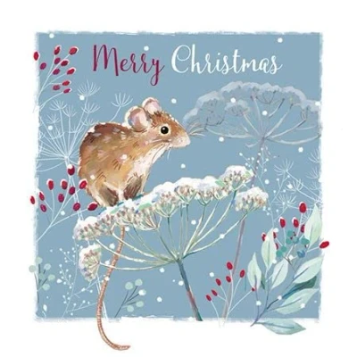 Image of Field Mouse In The Snow Christmas Greeting Card Wildlife Range Xmas Cards X14499I