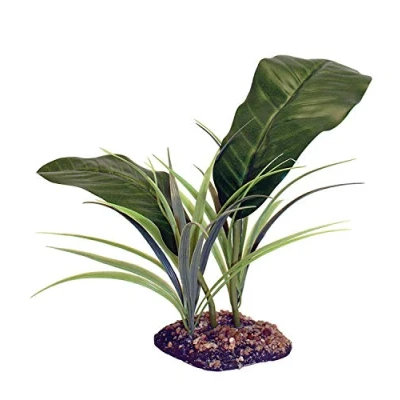 Image of Komodo Evergreen Canopy