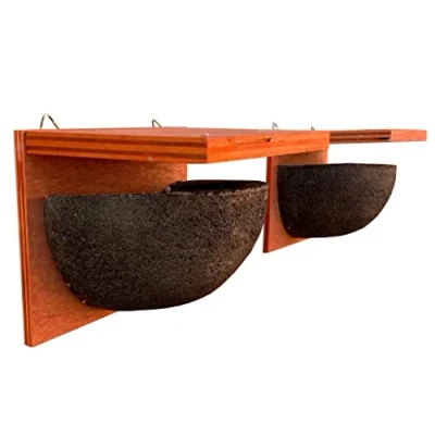 Image of House Martin Bird Nest Boxes (Pack of 2)