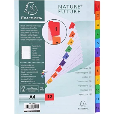 Image of Exacompta Ref 1112E Mylar Printed Indices For Use WithA4 Documents, Pre Punched, 160gsm White Card with Reinforced Plastic Tabs, FSC Certified 12 Part Dividers (1 12)