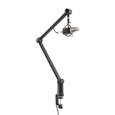 Image of RICOO Microphone Stand, MS061 Boom Arm Mic Stand for Singing and Recording 360 Rotatable Joint Suitable Desks, Black