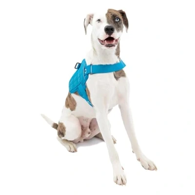 Image of Kurgo RSG Dog Townie Harness, Easy On/Off Hiking Adjustable, MOLLE Compatible, Medium Coastal Blue