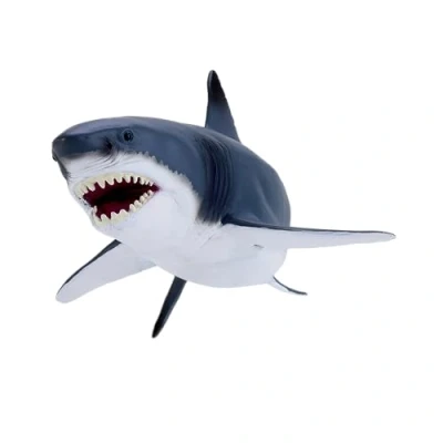 Image of Great White Shark