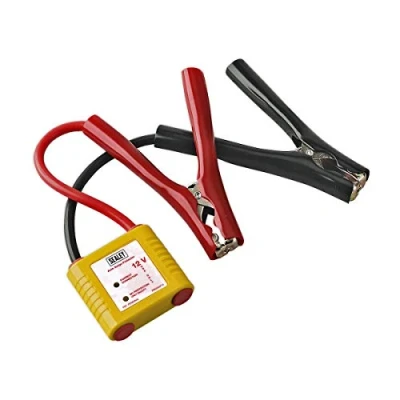 Image of Sealey Auto Electronics Protection Device 12V