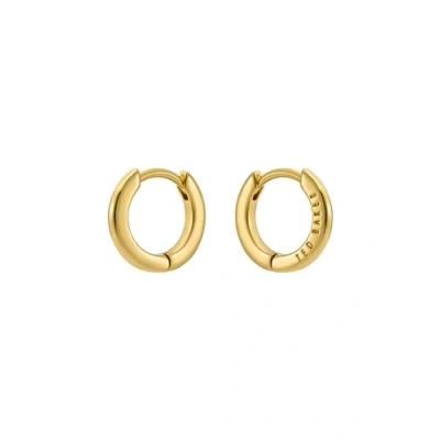 Image of Ted Baker Crislie Logo Hoop Earrings (12mm) For Women (Gold)
