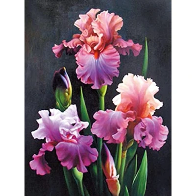 Image of OWN4B Cross Stitch Kits Stamped, Beautiful Flowers Printed Pattern 11CT 14.2x18.1 inch DIY Embroidery Kit (Flowers)