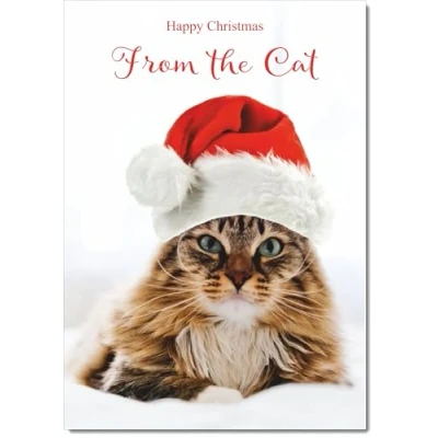 Image of doodlecards From The Cat Christmas Card with Santa Hat Medium Size for Plain Envelope