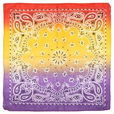 Image of Zac&#039;s Alter Ego Tri Tone Paisley Retro Vintage Style Cowboy Bandana/Face Mask/Durag/Neckerchief/Wrist Wrap