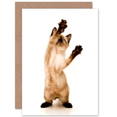 Image of Wee Blue Coo Siamese Kitten Cat Playing Birthday Gift Sealed Greeting Card Plus Envelope Blank inside