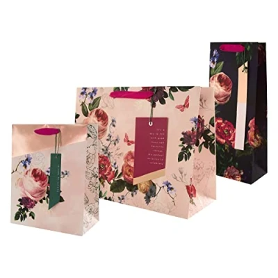 Image of Hallmark Any Occasion Gift Bag Bundle 1 Large Bag, Medium Bottle In Design