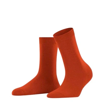 Image of FALKE Women&#039;s Cosy Wool W SO Viscose Cashmere Plain 1 Pair Socks, Orange (Ziegel 8095) new eco friendly, 2.5 5