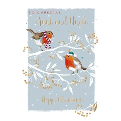 Image of Ling Design Christmas Card &#039;To a Special Aunt and Uncle&#039; Two Festive Robins Keeping Warm on Branch Stunning with Gold Foil Finish, blue, white, brown, red, gold, 17 x 12 0.1 cm