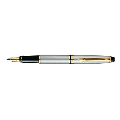 Image of Waterman Expert Fountain Pen Stainless Steel with 23k Gold Trim Fine Nib Gift Box