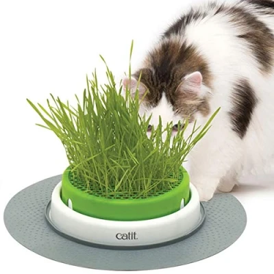Image of Catit Senses Grass Planter