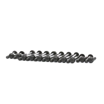 Image of 4828150x14, 99442951x8 Cylinder Head Bolt Kit BGA BK4307 Male Hex 14, 8 IVECO: DAILY 3, 3 Kasten/Kombi, PEUGEOT: Boxer Platform / Chassis