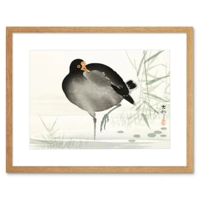 Image of Wee Blue Coo Moorhen Bird Ohara Koson Art Print Framed Poster Wall Decor 12x16 inch