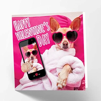 Image of Maturi Valentine&#039;s Dog Photographic Blank Birthday Greetings Card, Happy Day, 15.5 x cm