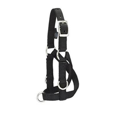 Image of Weaver Leather Livestock Sheep &amp; Goat Training Halter, Small, Black