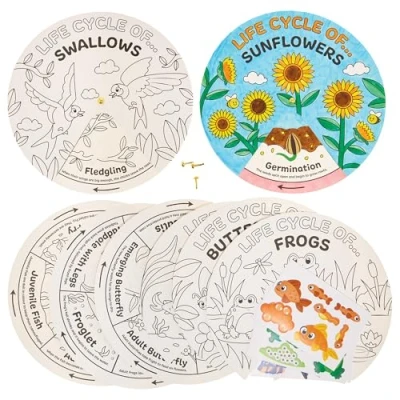 Image of Baker Ross FN111 Life Cycle Sticker Wheels Pack of 5, STEM, Science, and Learning Aids for Kids Schools