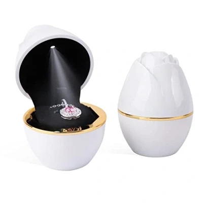 Image of Rolin Roly Pendant Box with LED Light White Rose Shape Velvet Storage Jewelry Boxes Display Necklace Gift Case for Organizer Engagement Anniversaries Weddings (White)