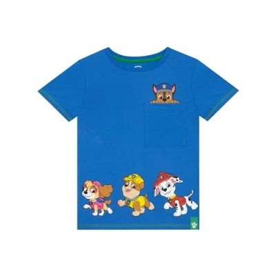 Image of Paw Patrol Boys Tshirt Chase, Rubble, Marshall and Skye T Shirts Cotton Blue Shirt 3 4 Years