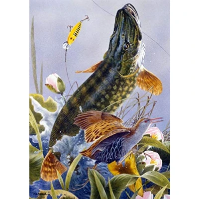 Image of Freshwater fish fishing greeting card. Pike by Maurice J Pledger