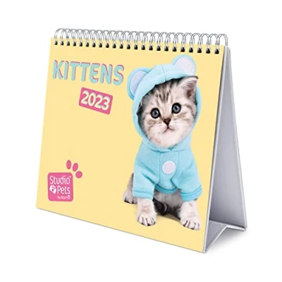Image of Grupo Erik Studio Pets Cats Calendar 2023 Desktop 7 X 8 Inches / 18 20 Desk 12 Month Planner Cat