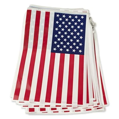 Image of Bristol Novelty PG022A USA Bunting, Blue/Red/White, One Size